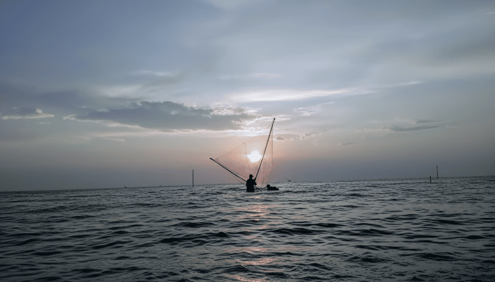 Ngư dân cất vó trên biển vào sáng sớm